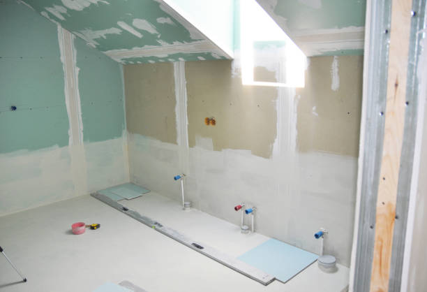 Best Mold Removal for HVAC Installations  in Long Grove, IA