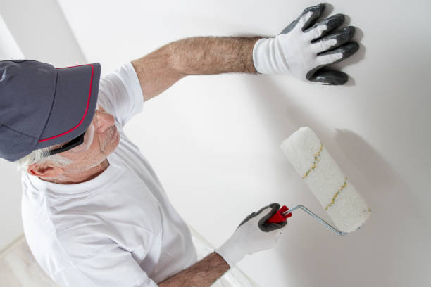 Best Air Quality Testing for Mold Spores  in Long Grove, IA