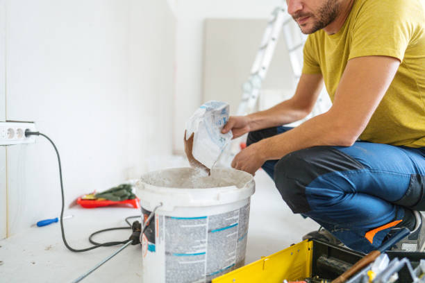 Best Post-Construction Mold Inspection  in Long Grove, IA