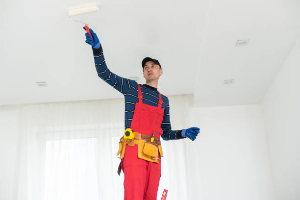 Best Dehumidification Services  in Long Grove, IA