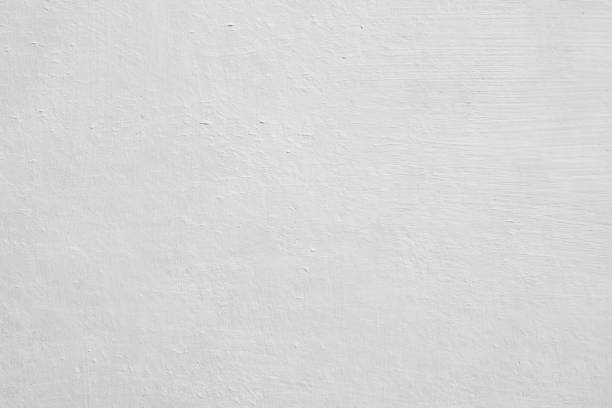 Best Mold Remediation for Healthcare Facilities  in Long Grove, IA