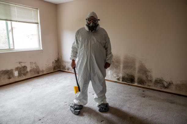 Forensic Mold Investigation in Long Grove, IA