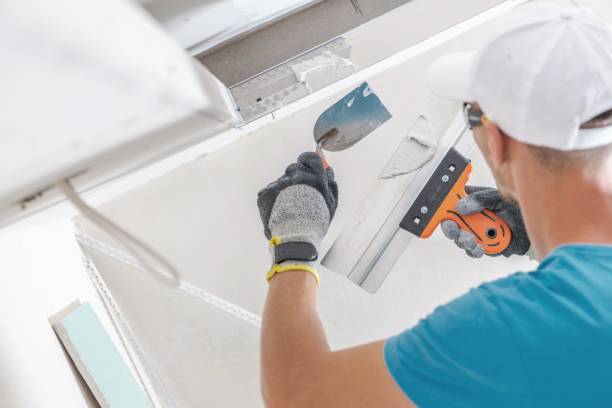 Professional Mold Removal in Long Grove, IA